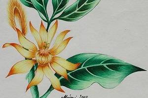 Blume - Ausschnitt. Kunstwerk von Aranka Mágori.